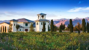 Pahrump Valley Wine Tour Las Vegas